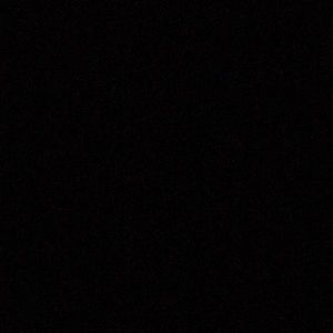 Meet your Posher, Sunny